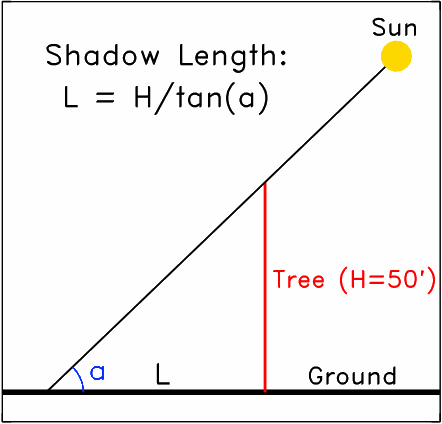 shadow