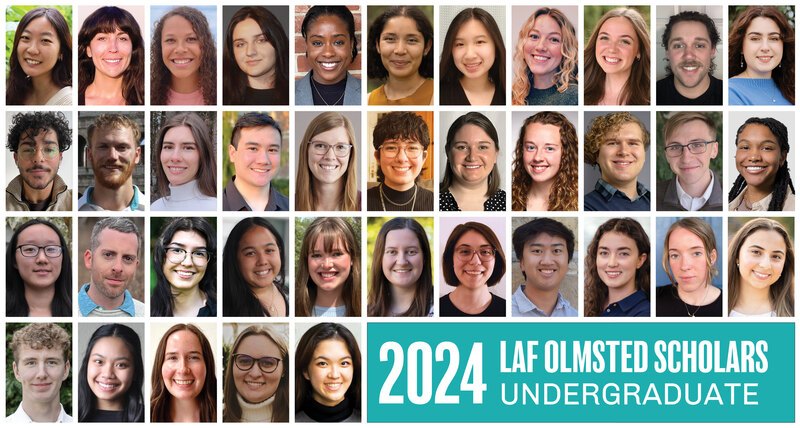 2024 olmsted scholars undergraduate