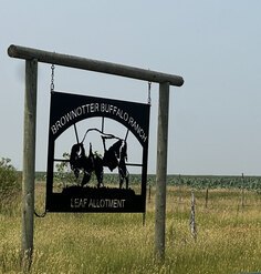 A cutout metal sign with a buffalo and the words "Brownotter Buffalo Ranch" hangs in front of ranchland