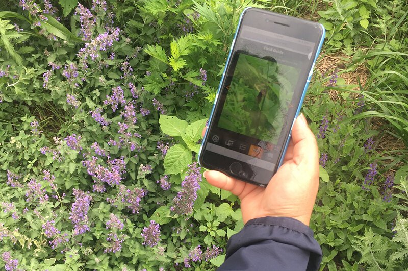 An individual holds out a smartphone with the West Point Foundry Preserve app on screen